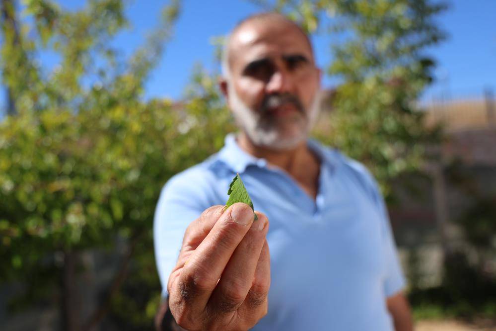 Konya’da gördüğü tedaviyi Elazığ’a taşıdı! Günde 200 kişi kapıda 1